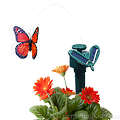 Solar Garden Butterfly