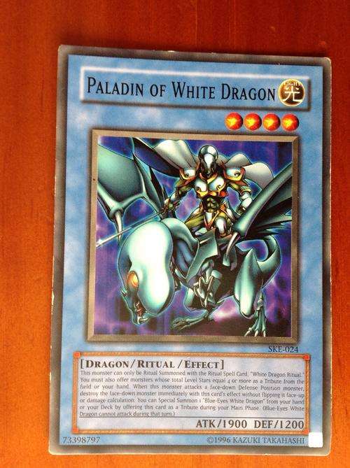 Yu-Gi-Oh! Paladin of White Dragon