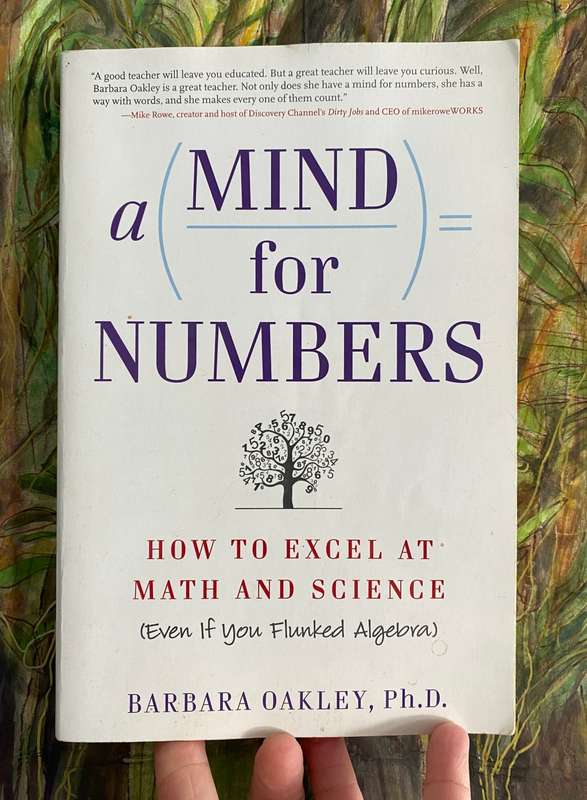 a MIND for Numbers.