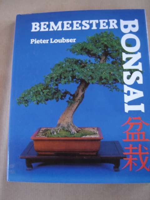 Bemeester Bonsai Pieter Loubser