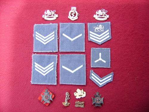 A COLLECTION OF RHODESIAN AIRFORCE & ARMY BADGE'S-Crazy Wednesday Auction-R1.00 START.