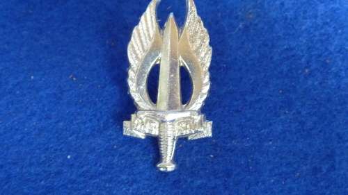 3)1 REGIMENT-NORTHERN TRANSVAAL BERET CAP BADGE-SCARCE-BOTH PINS-LOW START!