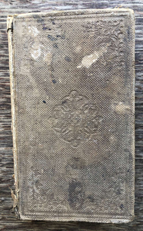 1859 EVERY MAN HIS OWN CATTLE DOCTOR BY FRANCIS CLATER