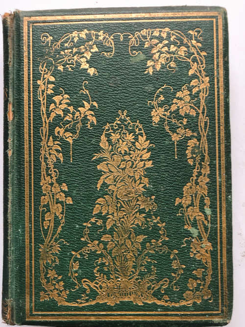 THE USEFUL PLANTS OF GREAT BRITAIN BY C PIERPOINT JOHNSON FIRST EDITION