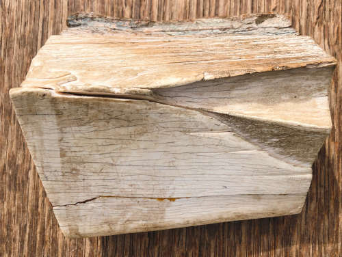 PETRIFIED WOOD OR PART OF MAMMOTH TUSK?