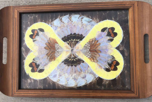 ART DECO INLAID BUTTERFLY WING TRAY