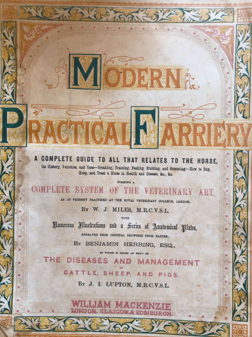 MODERN PRACTICAL FARRIERY BY W J MILES