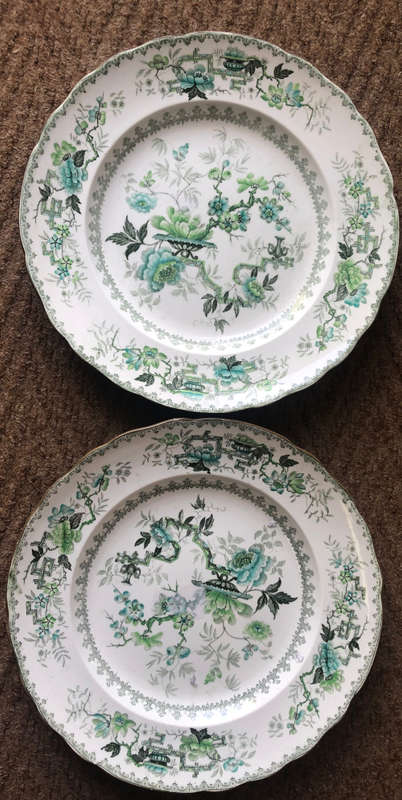 FLOWERET PAIR OF DINNER PLATES