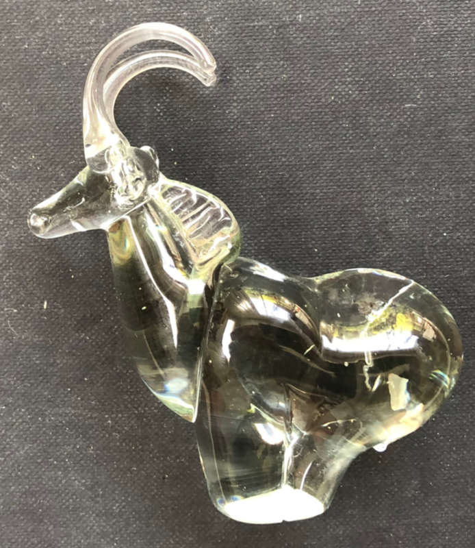 GLASS ROAN SABLE ANTELOPE NGWENYA SWAZILAND