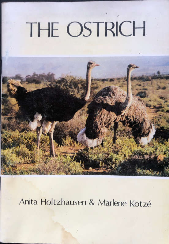 THE OSTRICH BY ANITA HOLTZHAUSEN & MARLENE KOTZE
