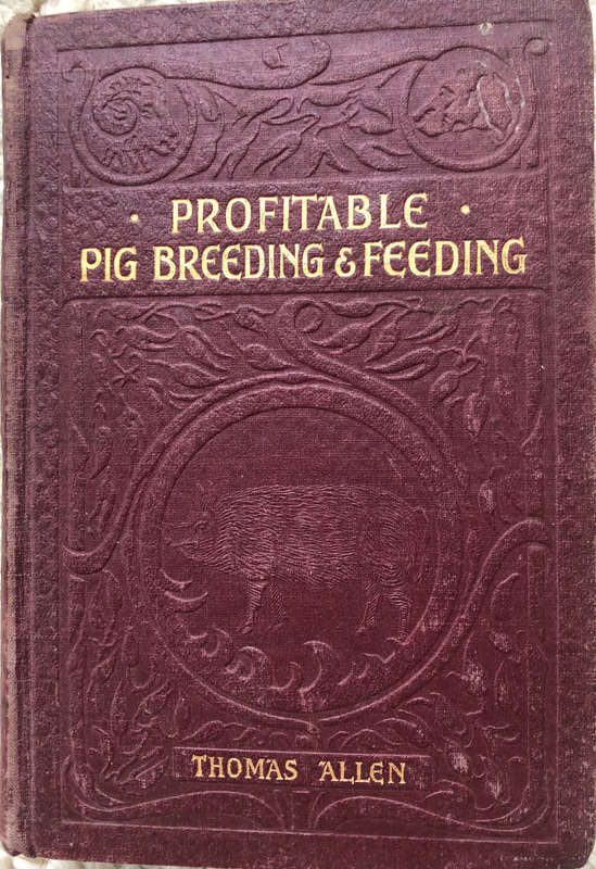 PROFITABLE PIG BREEDING & FEEDING BY THOMAS ALLEN 1910
