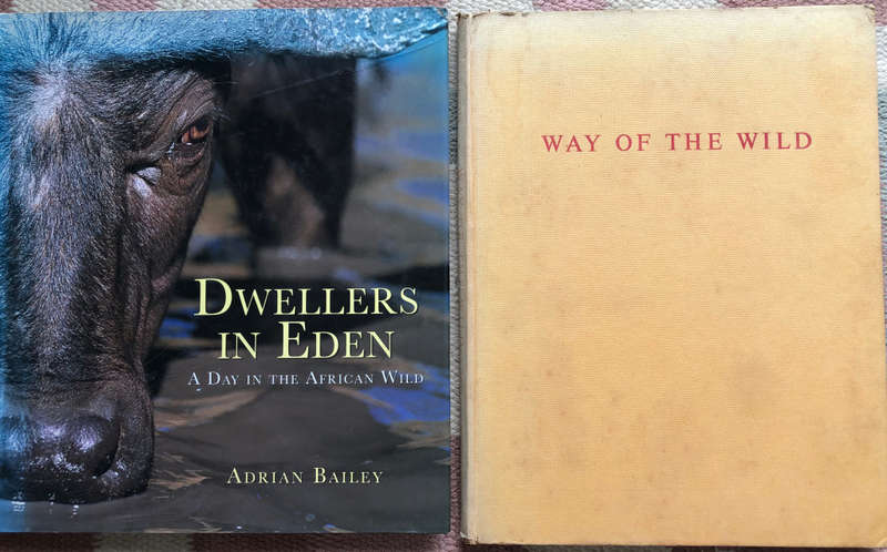 DWELLERS IN EDEN BY ADRIAN BAILEY AND WAY OF THE WILD BY T V BULPIN