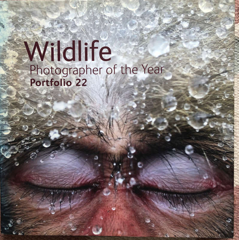 WILDLIFE PHOTOGRAPHER OF THE YEAR PORTFOLIO 22 FIRST EDITION