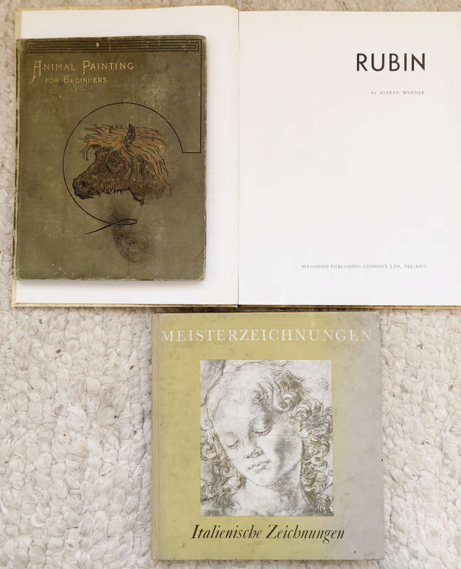 RUBIN BY A WERNER, MASTER ITALIAN DRAWINGS IN GERMAN BY B LESERING AND ANIMAL PAINTING FOR BEGINNERS