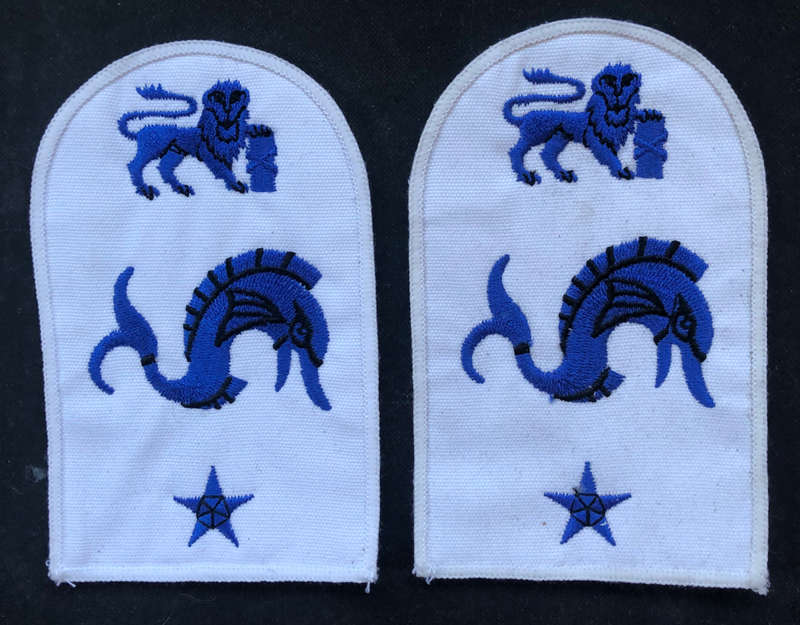 MILITARY EMBROIDERED EPAULETTES