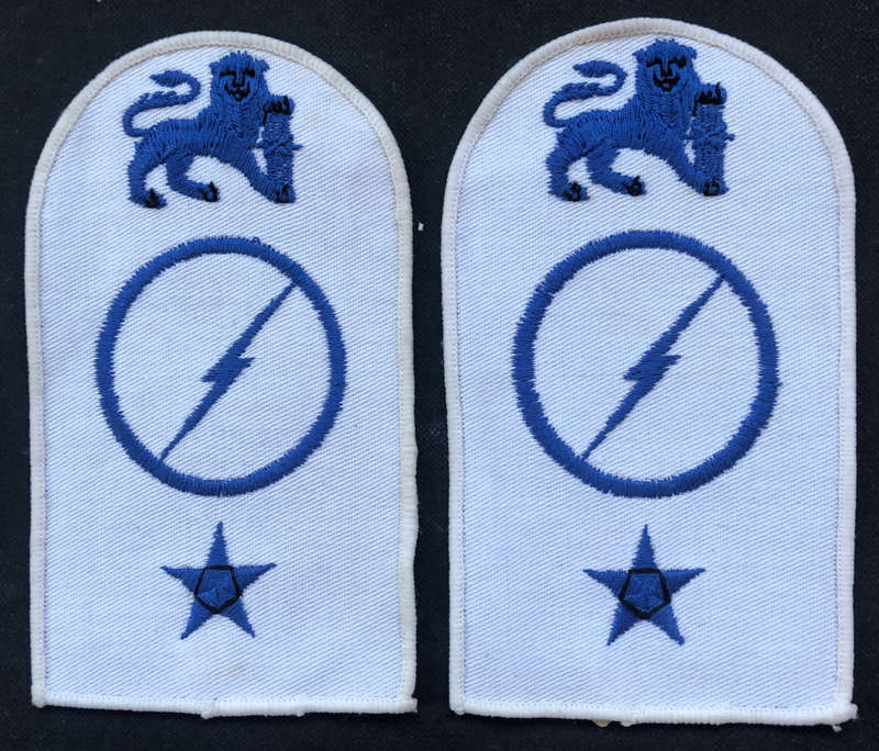 MILITARY EMBROIDERED EPAULETTES