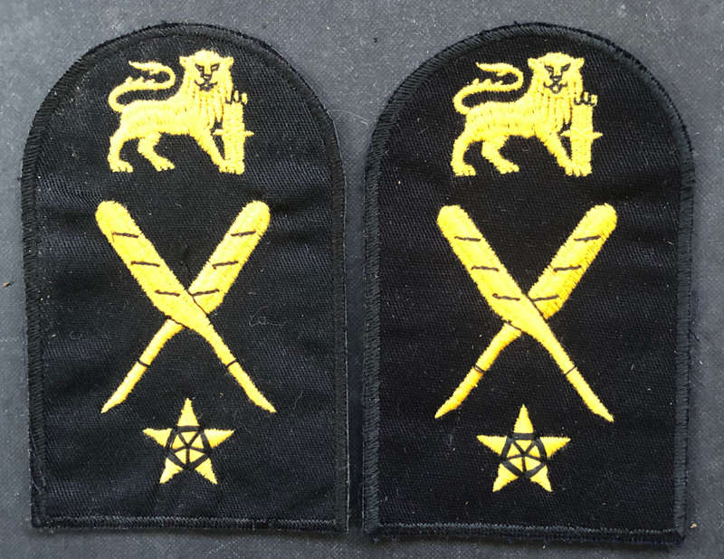 MILITARY EMBROIDERED EPAULETTES