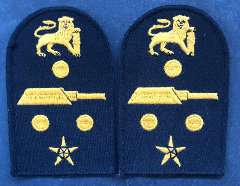 MILITARY EMBROIDED EPAULETTES