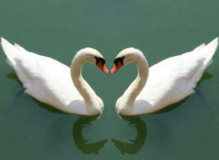 Draw Love Hypnosis MP3