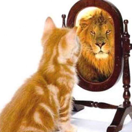 Confidence Hypnosis MP3