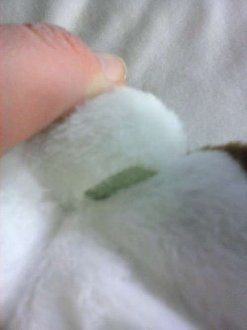 Talking hamster toy