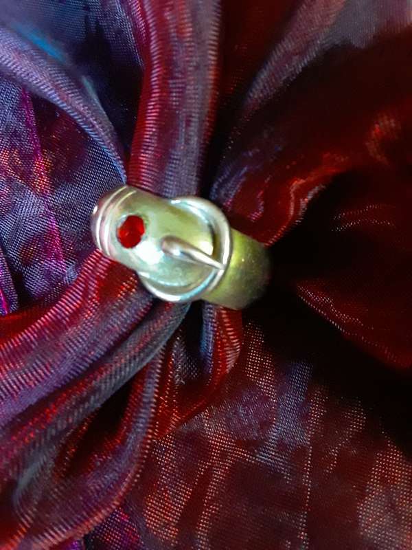 Men`s Ring (22kt Gold Plated)