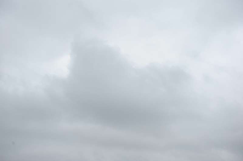 Nikon D3 DSLR