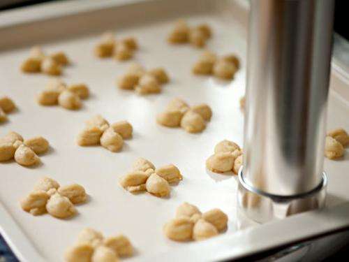 Love to Bake Cookie Press & Icing Set