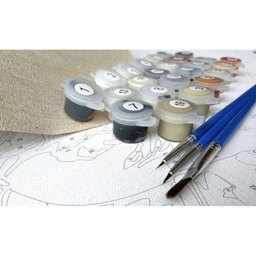 Paint by Numbers SA