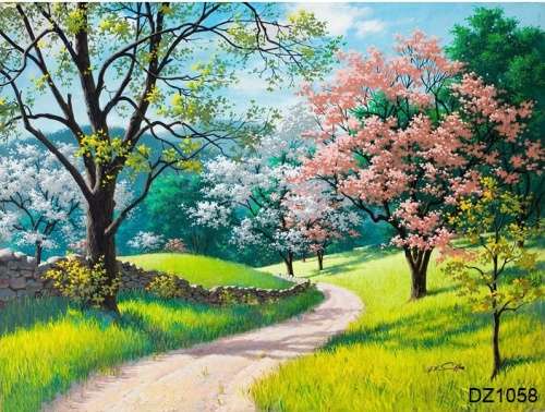 Paint by Numbers SA
