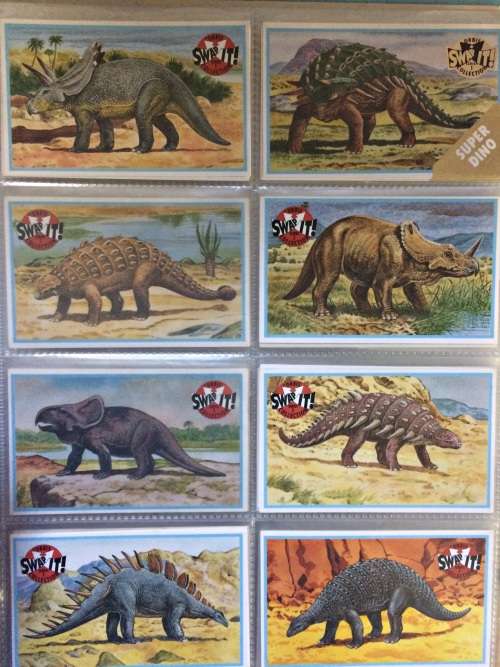 Dinosaur Card Collection & File