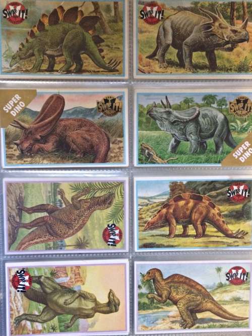 Dinosaur Card Collection & File