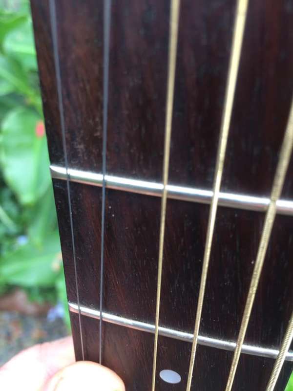 1998 Seagull S6 Cedar Acoustic Guitar - Lefty - WOW - EX+