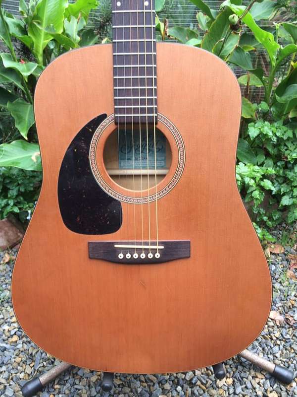 1998 Seagull S6 Cedar Acoustic Guitar - Lefty - WOW - EX+