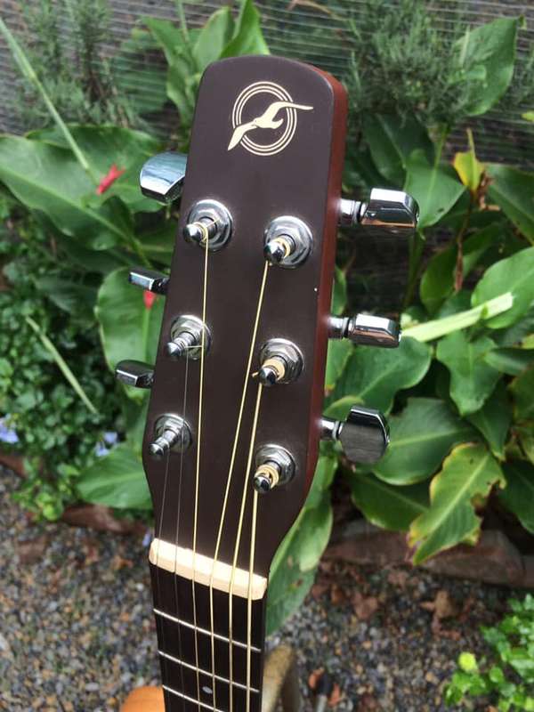 1998 Seagull S6 Cedar Acoustic Guitar - Lefty - WOW - EX+