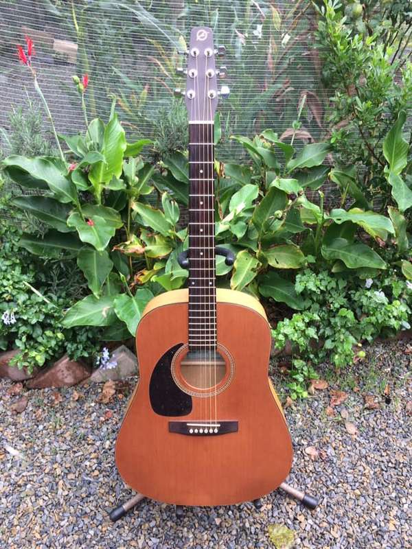 1998 Seagull S6 Cedar Acoustic Guitar - Lefty - WOW - EX+