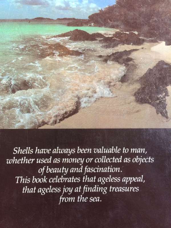 Shells Treasures from the Sea - James A Cox / HARDCOVER