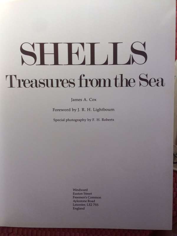 Shells Treasures from the Sea - James A Cox / HARDCOVER