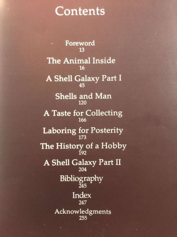 Shells Treasures from the Sea - James A Cox / HARDCOVER