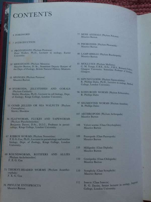 Larousse Encyclopedia of Animal Life - Paul Hamlyn / HARDCOVER