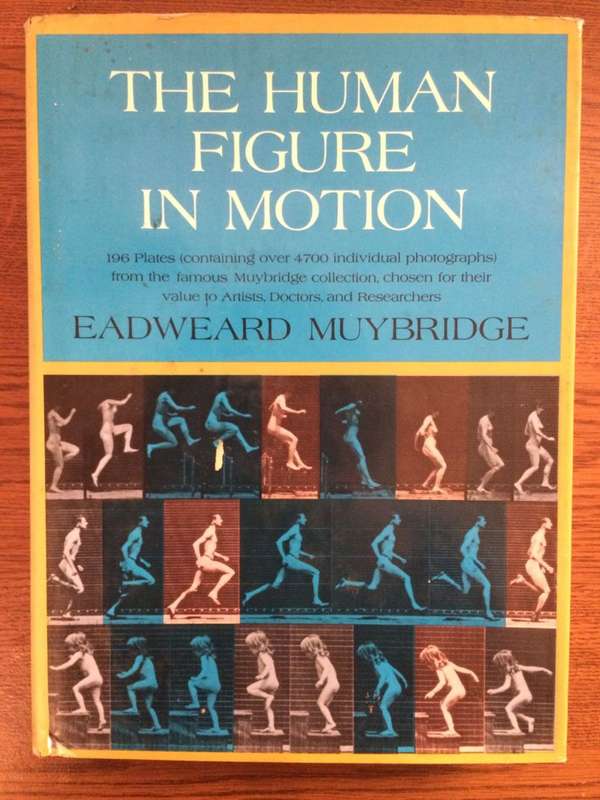 The Human Figure in Motion - Eadweard Muybridge (Hardcover)