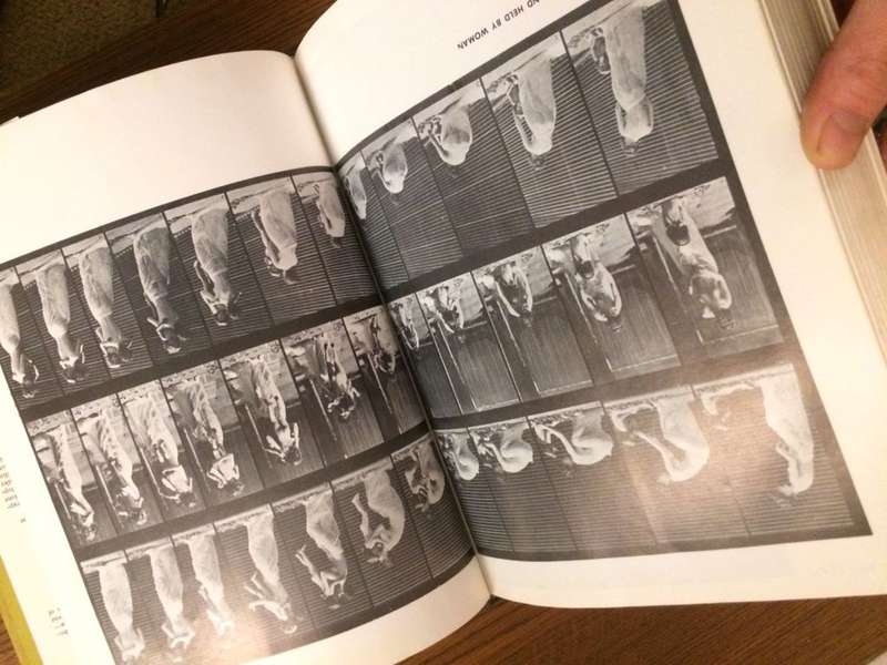 The Human Figure in Motion - Eadweard Muybridge (Hardcover)