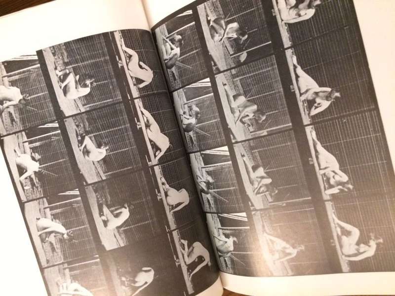 The Human Figure in Motion - Eadweard Muybridge (Hardcover)