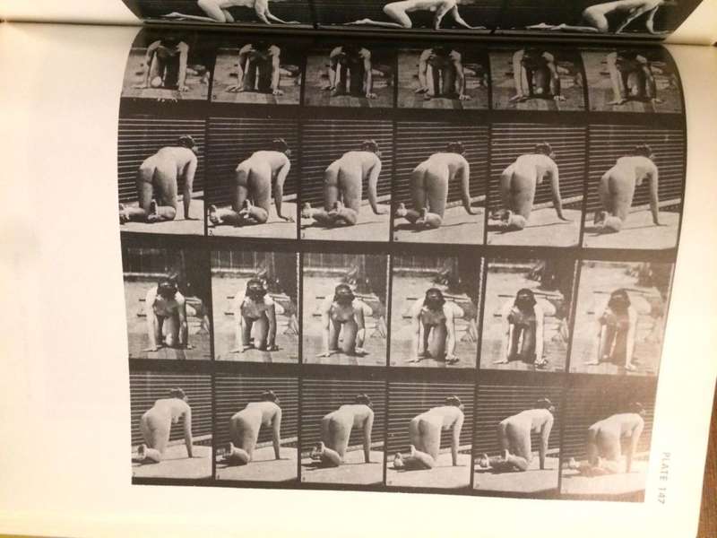 The Human Figure in Motion - Eadweard Muybridge (Hardcover)