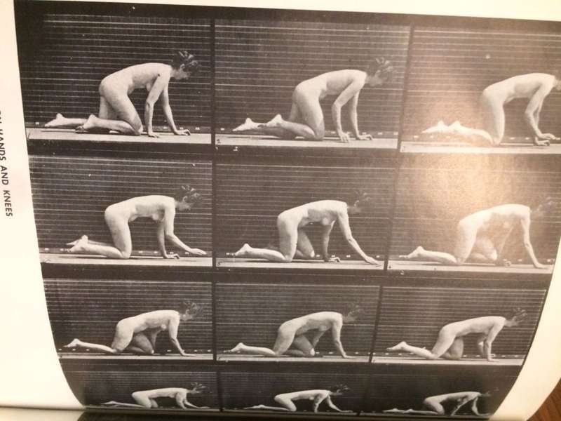 The Human Figure in Motion - Eadweard Muybridge (Hardcover)