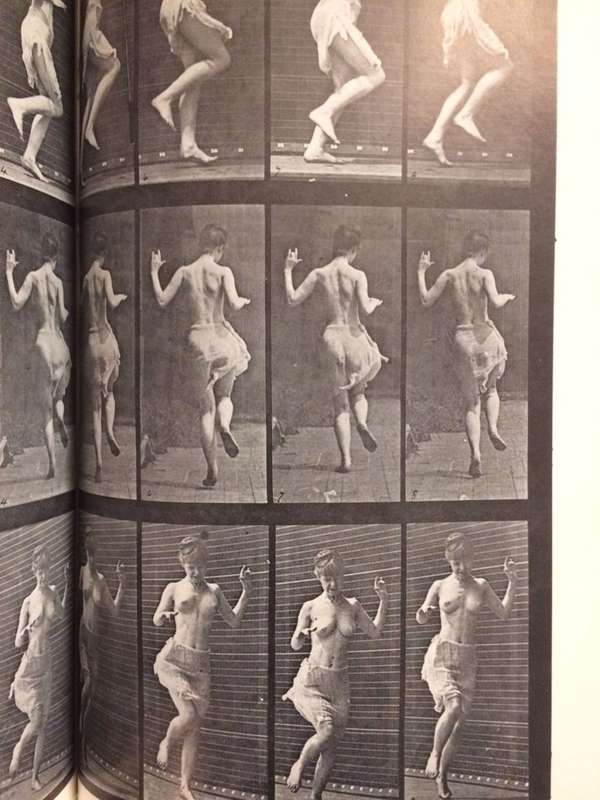 The Human Figure in Motion - Eadweard Muybridge (Hardcover)