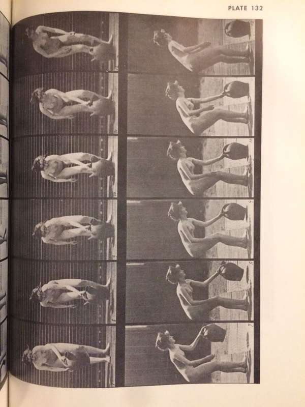The Human Figure in Motion - Eadweard Muybridge (Hardcover)