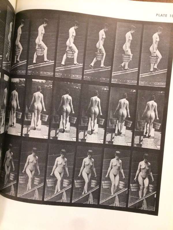 The Human Figure in Motion - Eadweard Muybridge (Hardcover)