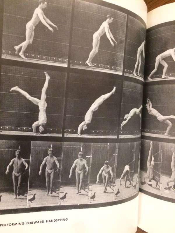 The Human Figure in Motion - Eadweard Muybridge (Hardcover)