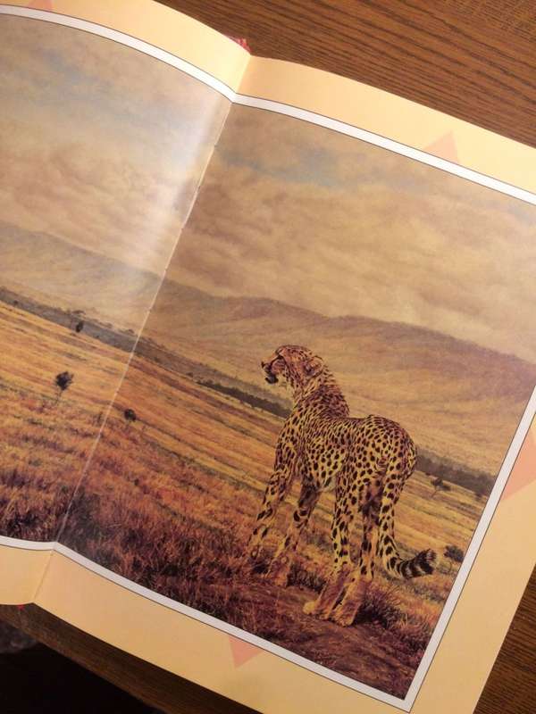 Out of Africa - Karen Blixen (Illustrated Hardcover Edition)